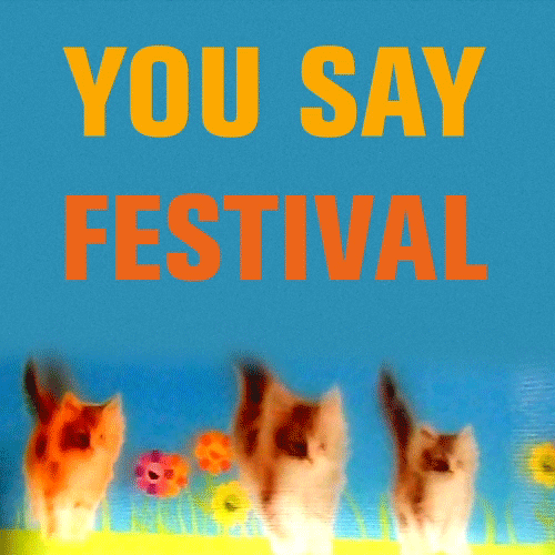 festiGIF
